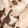 Vintage French Luxury Sheepskin Jacket - Image 3